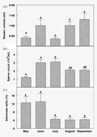 Semen Volume , Semen Count (b), And Percentage Of Abnormal - Line Art