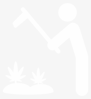 Why Are You Growing - Google Logo G White