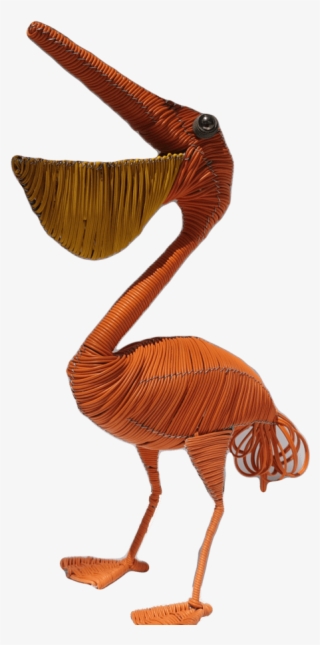 Pelican - Turkey