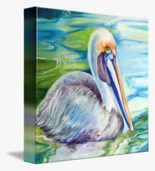 589 X 650 2 - Brown Pelican Of Louisiana