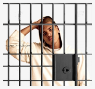 Chris Brown And Two Members Of His Entourage Arrested - Girl