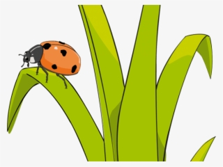 Lady Bug On Plant Clip Art