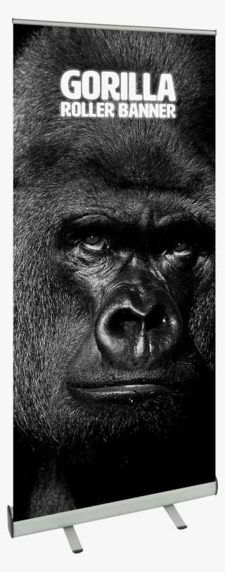 Gorilla Roller Banner - Monkey