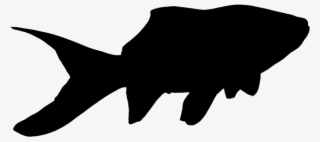 Goldfish Silhouette Goldfish Gangsta Goldfish - Silhouette Of A Goldfish