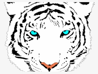 Bengal Clipart Tiger Face - White Tiger Logo Transparent