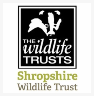 In The Spotlight - Wildlife Trust