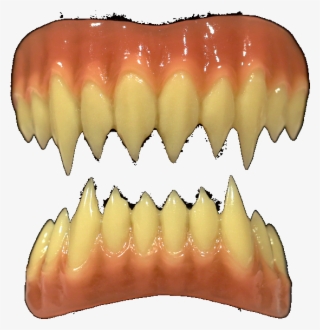 Jaw