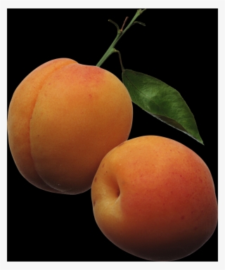 Peach Png - Peach