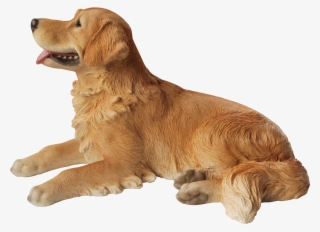 Vivid Arts Resin Lying Golden Retriever - Golden Retriever Transparent Laying On Back