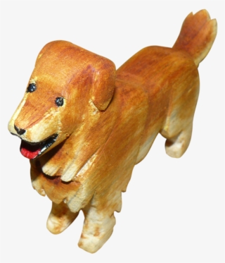 Golden Tallado - Dachshund