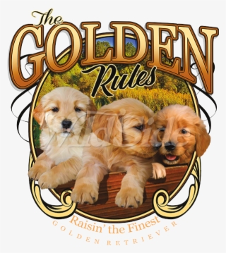 Dog Catches Something