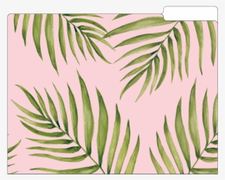 File Folder Set, Palm Leaves