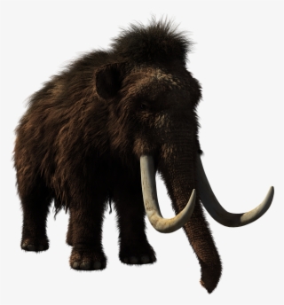 Baby Elephant - Woolly Mammoth