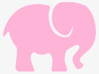 Indian Elephant