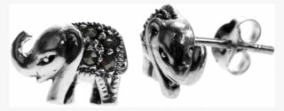 Previous - Next - Indian Elephant