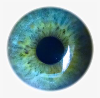 Humans Evolved The Ability To Detect The Wavelengths - Circle