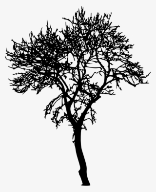 Jungle Tree Silhouette Transparent