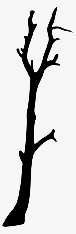 Bare Tree Silhouette - Silhouette