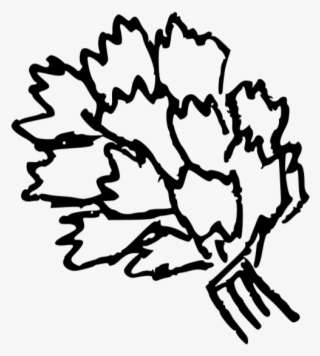 Doodle-cilantro
