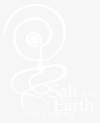 Moroccan Salt Of The Earth Seed Company - University Of Florida Health