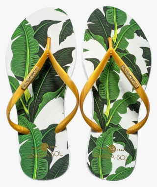 Women's Fashion Collection Flip Flops