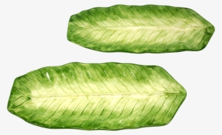Vintage Banana Leaf Platters By Jay Willfred - Starfruit