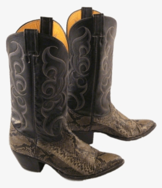 Download - Cowboy Boot