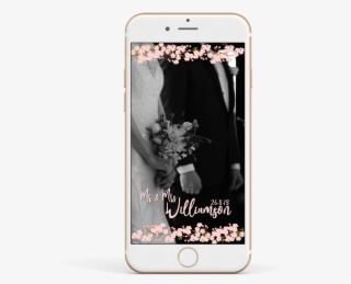 Cherry Blossom Branch Png