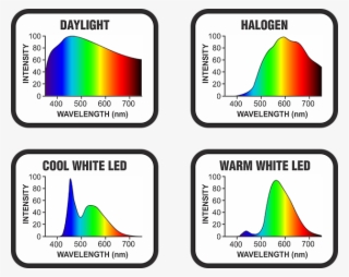 A Few Very Specific Architectural And Photographic - Film1 Spotlight
