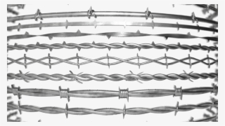 Hotel Carpet With Interlaced Geo Design, Scifabric - Barbed Wire