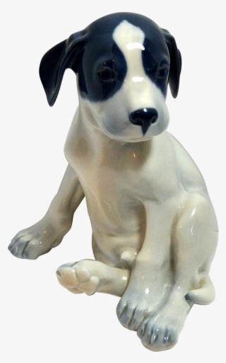 Cute Puppies And Kittens - Companion Dog