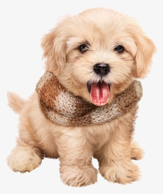 Cute Sticker - Puppy