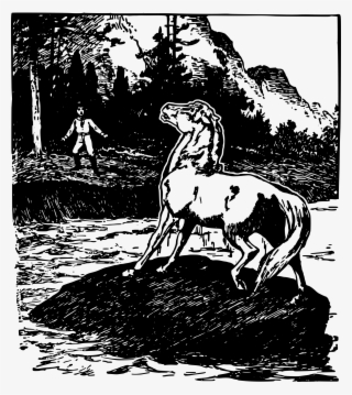 Big Image - Stallion