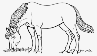 Horses Png Black And White - Horse Drawing Black And White