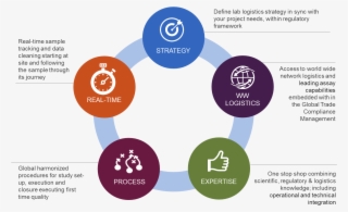 Diagram Showing Key Elements Of Parexel's Laboratory - Diagram