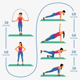 It Needs To Be Strong To Stabilize The Spine And Pelvis, - Back Strength Exercises