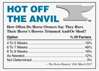 Congressmen Introduce Rival Horse Protection Bills - Ron Mueck Angel