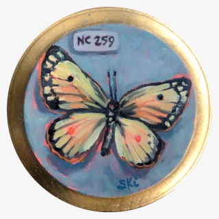 Nc 259 Butterfly - Brush-footed Butterfly