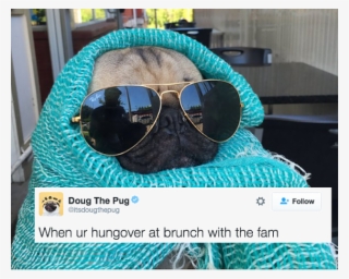 21 Hilarious Tweets About Brunch - Doug The Pug Hungover