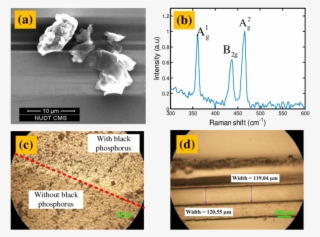 Raman Spectrum Of Bulkstructured Bp - Diagram