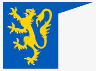 Some Ukrainian Flags During The Russian Civil War Even - Volhynia Flag