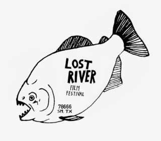 Quality Problems Metamorfic Banner Transparent - Halibut