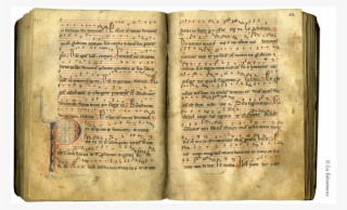 Vellum