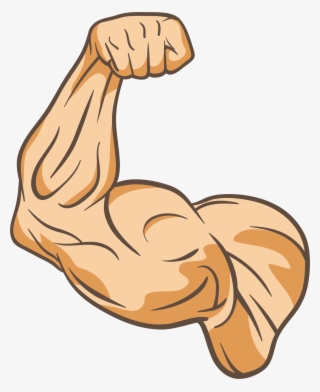 Muscle Clip Art - Muscle Clip Art Png