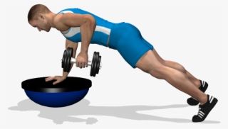 Single Arm Dumbbell Row On Bosu Involved Muscles During - Esercizi Dorsali A Casa