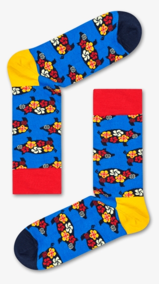 Ham01 6000