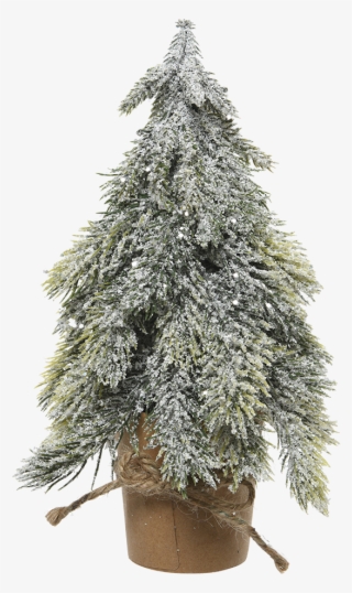 Artificial Christmas Tree In A Carton Pot, Snowy, - Christmas Tree