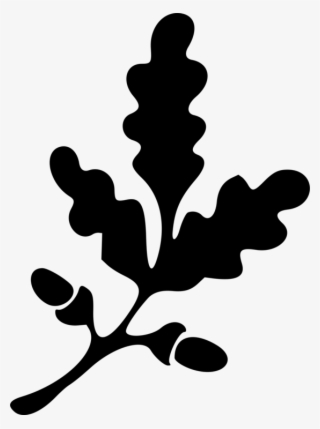559 X 750 2 - Oak Leaf Clipart Black And White