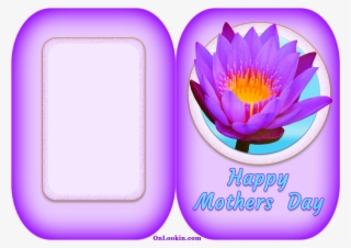 Happy Mothers Day Violet Lily - Water Lily