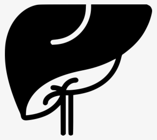Png File Svg - Liver Icon Png